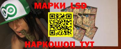 спиды Обь